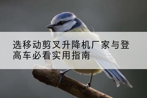 多伦电动升降机厂家-选移动剪叉升降机厂家与登高车必看实用指南