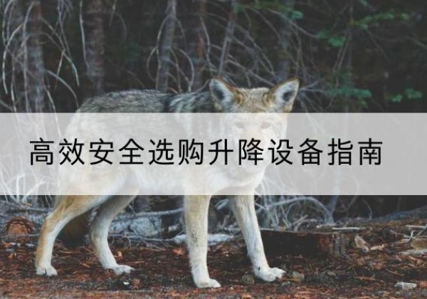 多伦升降货梯厂家推荐-*安全选购升降设备指南