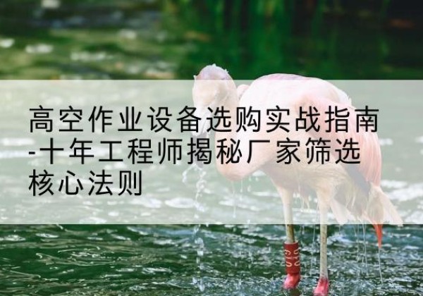 多伦剪叉式升降机厂家-高空作业设备选购实战指南-十年工程师揭秘厂家筛选核心法则